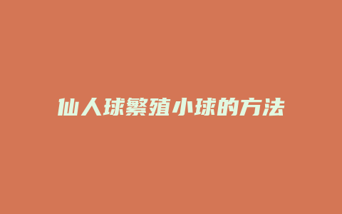 仙人球繁殖小球的方法