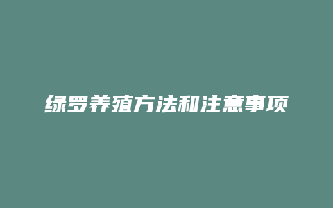 绿罗养殖方法和注意事项