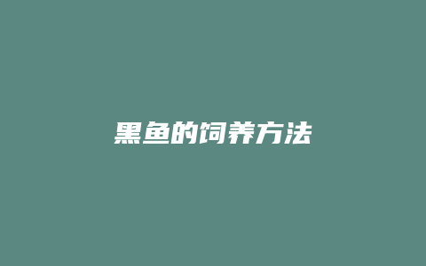 黑鱼的饲养方法