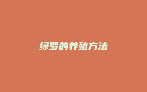 绿罗的养殖方法