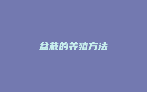 盆栽的养殖方法