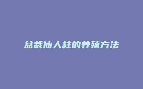 盆栽仙人柱的养殖方法