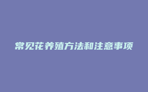 常见花养殖方法和注意事项