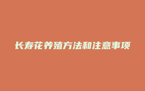 长寿花养殖方法和注意事项