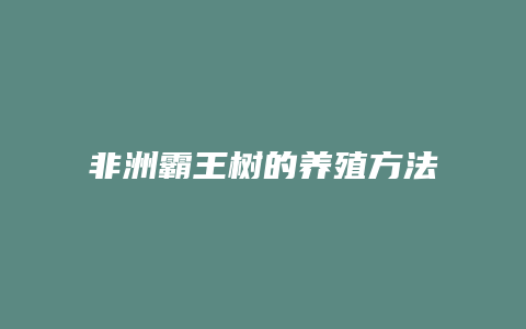 非洲霸王树的养殖方法