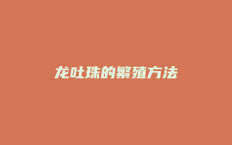 龙吐珠的繁殖方法