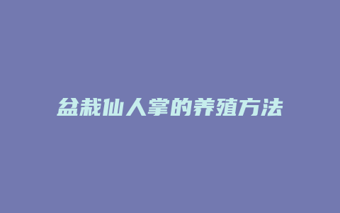 盆栽仙人掌的养殖方法