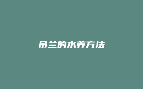 吊兰的水养方法