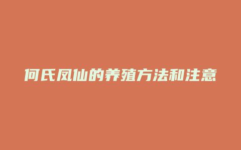 何氏凤仙的养殖方法和注意事项