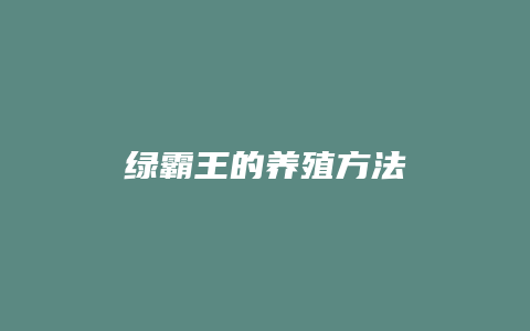 绿霸王的养殖方法