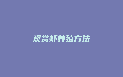 观赏虾养殖方法