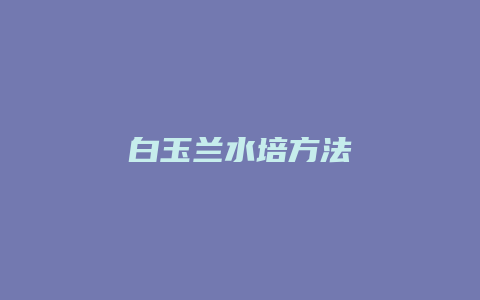 白玉兰水培方法