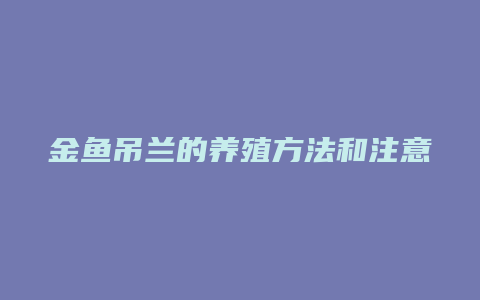 金鱼吊兰的养殖方法和注意事项