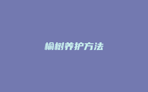 榆树养护方法