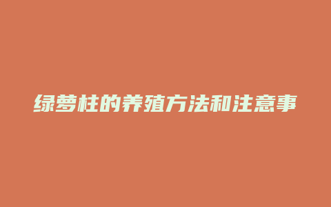 绿萝柱的养殖方法和注意事项