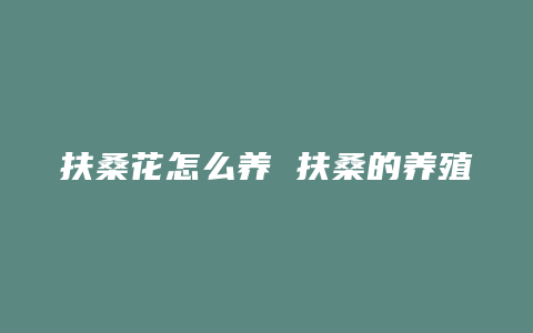 扶桑花怎么养 扶桑的养殖方法和注意事项