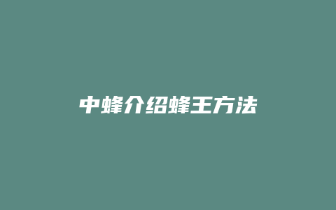 中蜂介绍蜂王方法