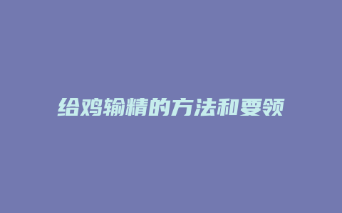 给鸡输精的方法和要领