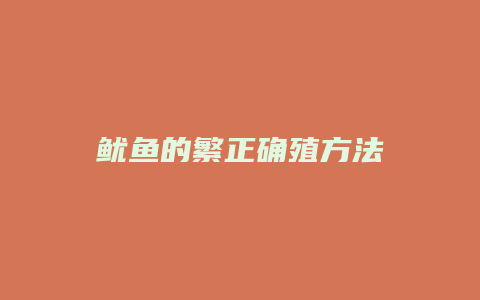 鱿鱼的繁正确殖方法