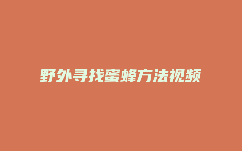 野外寻找蜜蜂方法视频