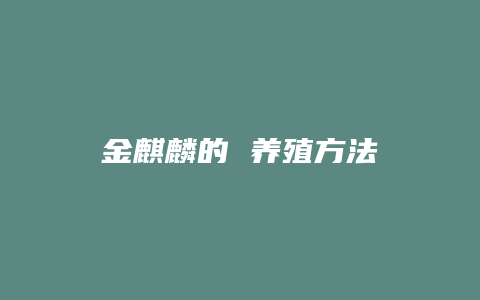 金麒麟的 养殖方法