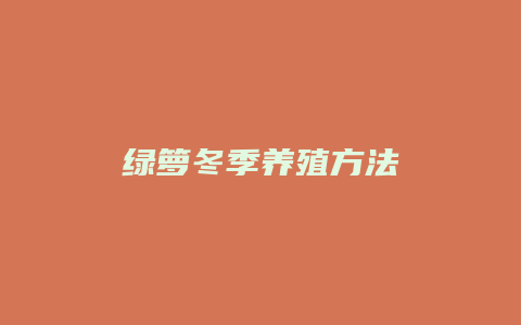 绿箩冬季养殖方法