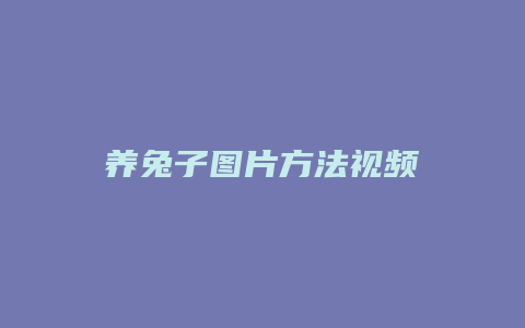 养兔子图片方法视频