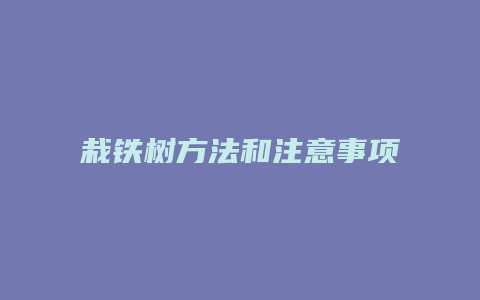 栽铁树方法和注意事项