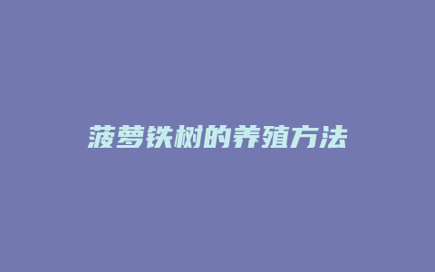 菠萝铁树的养殖方法