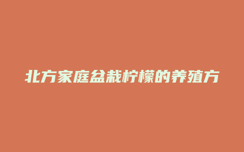 北方家庭盆栽柠檬的养殖方法