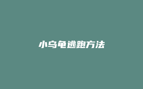 小乌龟逃跑方法