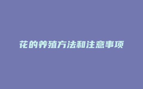 花的养殖方法和注意事项