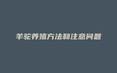 羊驼养殖方法和注意问题