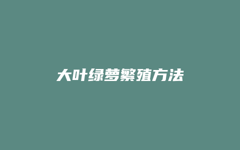 大叶绿萝繁殖方法