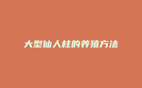 大型仙人柱的养殖方法