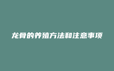 龙骨的养殖方法和注意事项