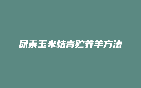 尿素玉米桔青贮养羊方法