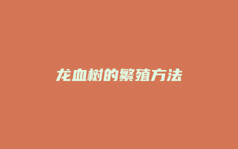 龙血树的繁殖方法