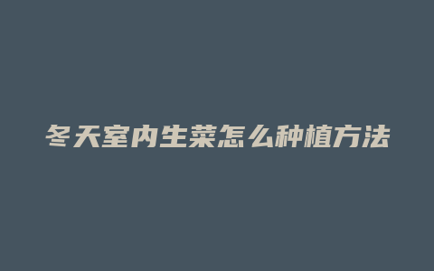 冬天室内生菜怎么种植方法