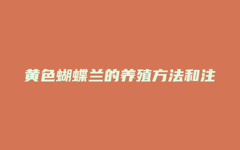 黄色蝴蝶兰的养殖方法和注意事项