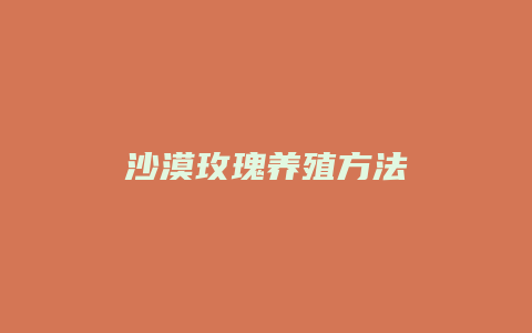 沙漠玫瑰养殖方法