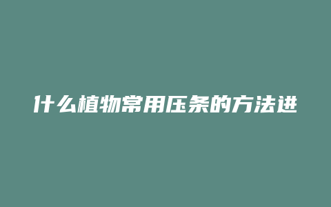 什么植物常用压条的方法进行繁殖