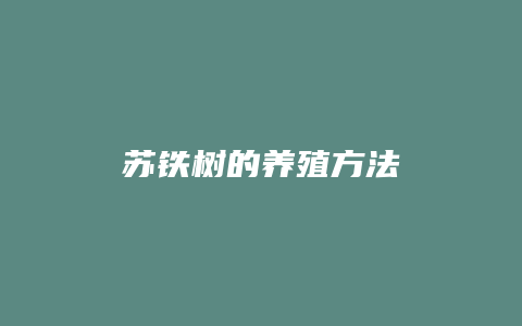 苏铁树的养殖方法