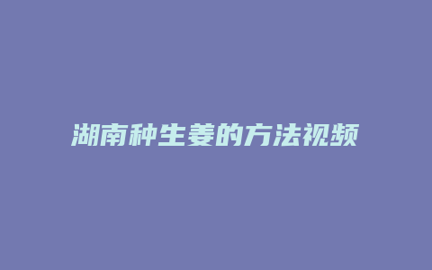 湖南种生姜的方法视频