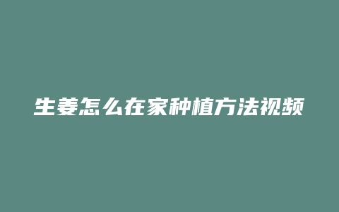 生姜怎么在家种植方法视频教程