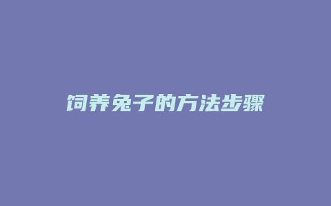 饲养兔子的方法步骤