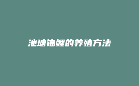 池塘锦鲤的养殖方法