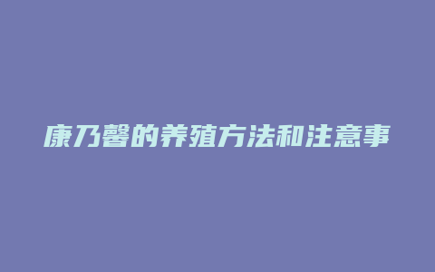 康乃馨的养殖方法和注意事项