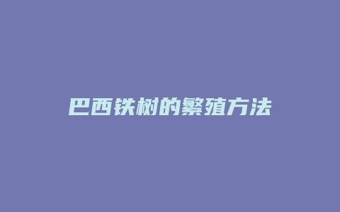 巴西铁树的繁殖方法