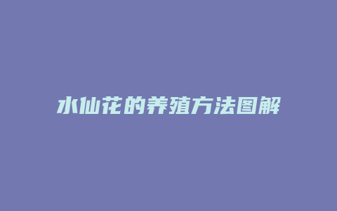 水仙花的养殖方法图解